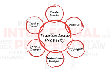 Quyền tác giả và những vấn đề pháp lý liên quan