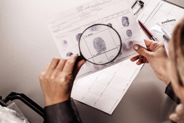 Nghiên cứu tài liệu về giám định như thế nào?