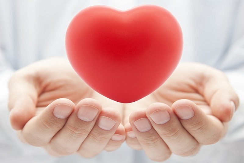 Luật sư và hoạt động trợ giúp pháp lý cho đối tượng chính sách, người yếu thế