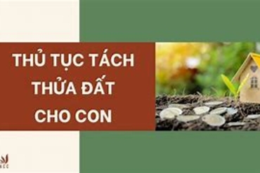 Thủ tục tách sổ đỏ cho con theo luật mới nhất hiện nay