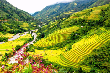 HNK là đất gì? Đất HNK có được chuyển lên thổ cư không?