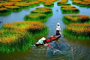 Đất khai hoang là gì? Có được cấp Sổ đỏ cho Đất khai hoang không?