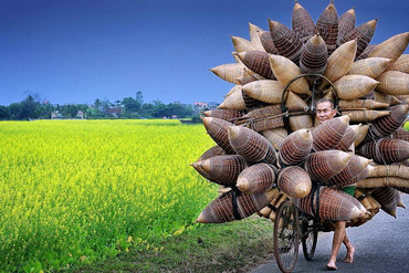 Mua, Sử dụng đất trồng lúa để xây khu phần mộ được không?