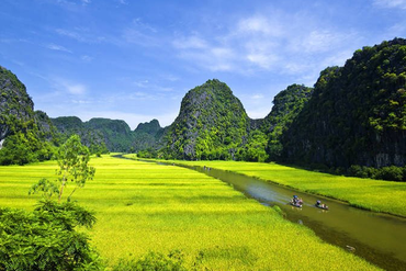 Đất trồng lúa hết hạn, có cần gia hạn để tiếp tục sử dụng không?
