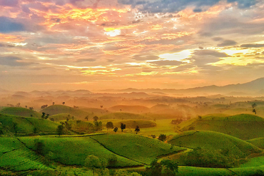 Miễn, giảm tiền sử dụng đất, tiền thuê đất được thực hiện trong các trường hợp nào?