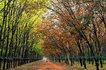 Bảng giá đất: Khái niệm, mục đích và cách xây dựng