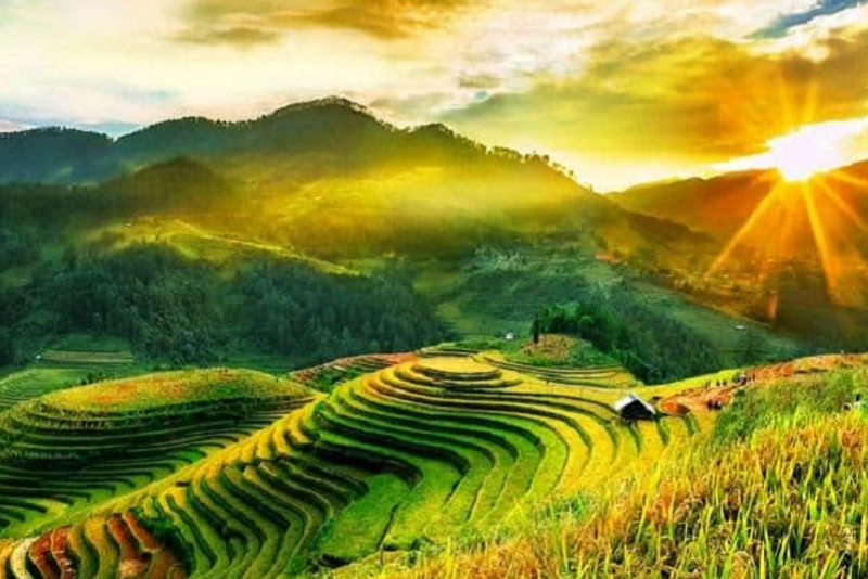 Những loại đất được miễn thuế sử dụng đất phi nông nghiệp