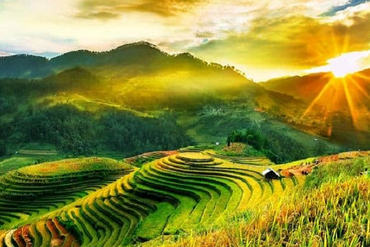 Những loại đất được miễn thuế sử dụng đất phi nông nghiệp