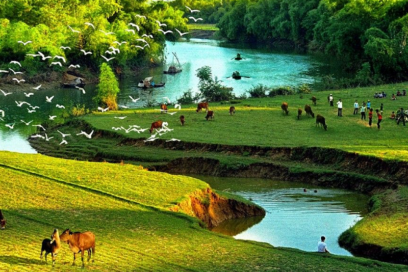 Đất chăn nuôi tập trung có chuyển sang đất ở được không?