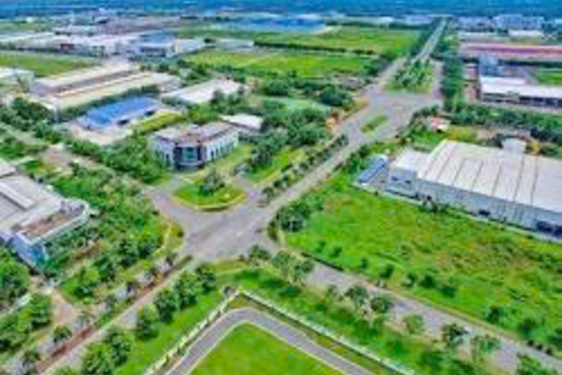 Bồi thường cây trồng, vật nuôi được quy định như thế nào?