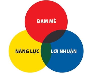 Chiến lược con nhím - thành công từ sự đơn giản