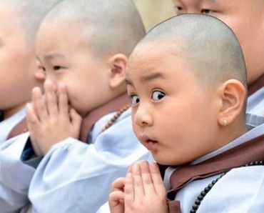 Câu chuyện "Bán lược cho sư"