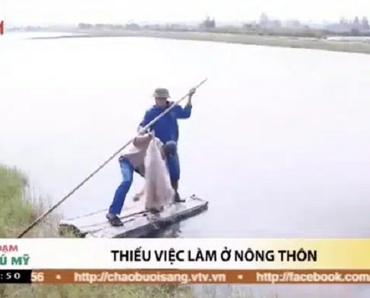 Thu hồi đất tại Cát Hải: Hàng tỷ đồng bồi thường, hỗ trợ thu hồi đất đã đi đâu?