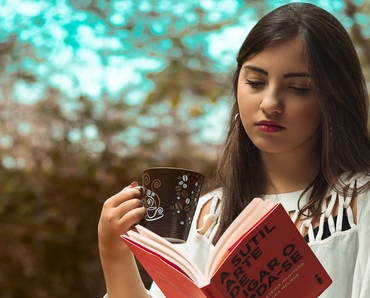 Văn hóa đọc sách tại Công ty Luật TNHH Everest