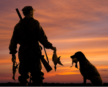 Thợ săn và chó săn