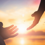 Hệ sinh thái pháp lý