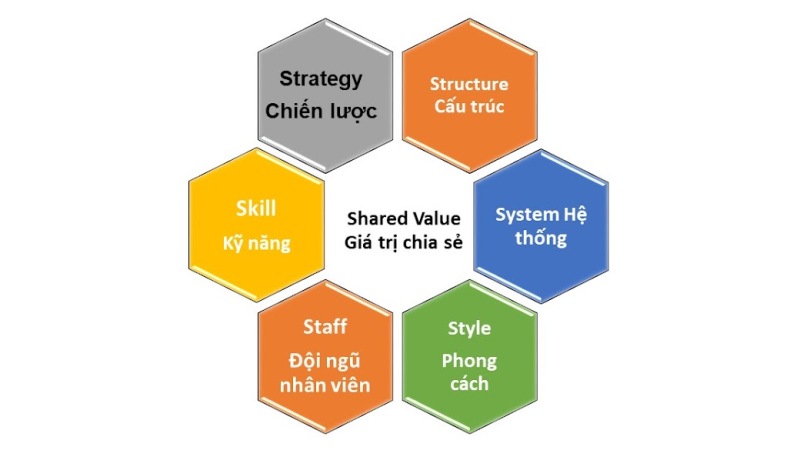 Mô hình 7S cho doanh nghiệp  Tổ chức Giáo dục Đào tạo PTI